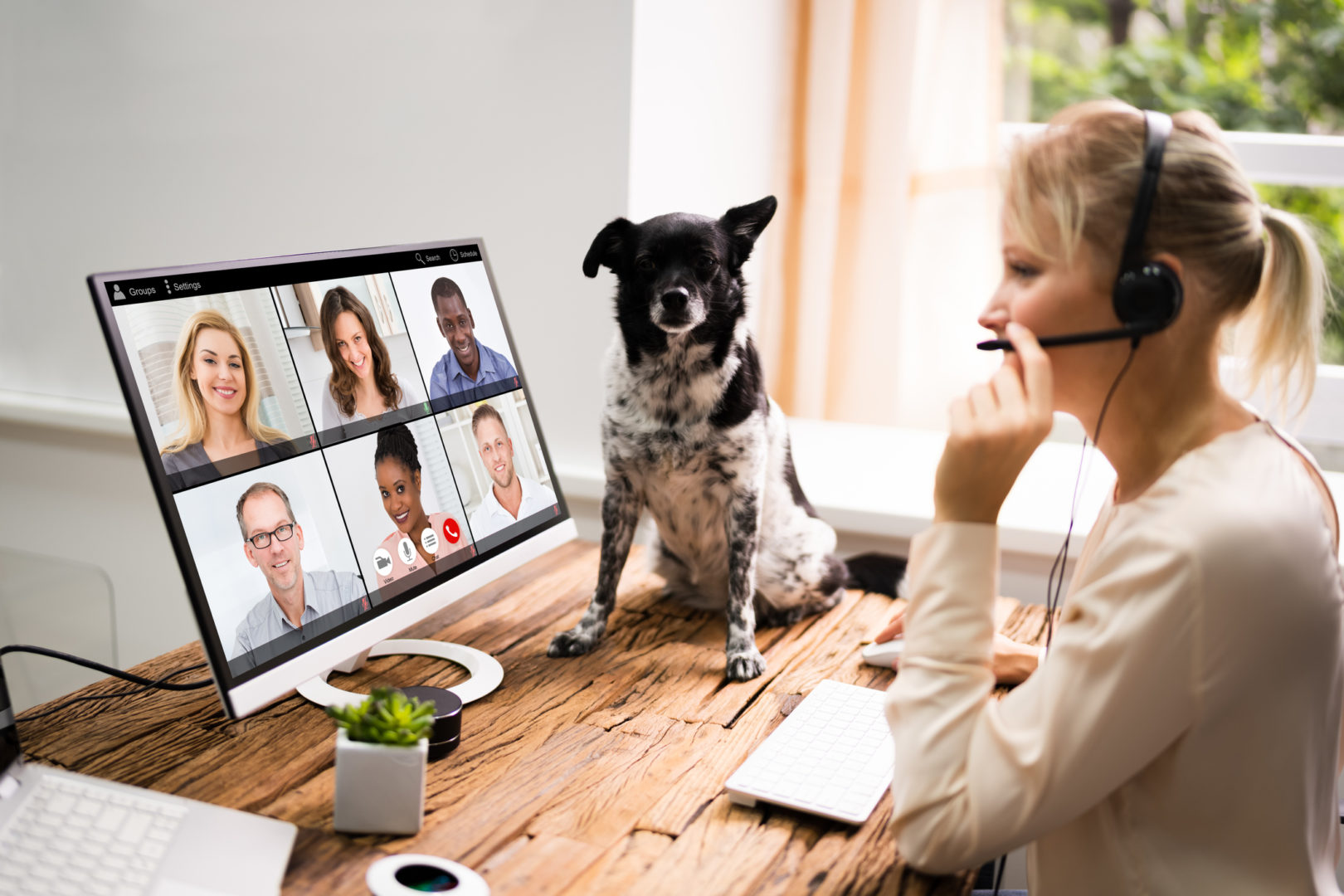 How to Survive Working from Home With Your Pets and Your Partner