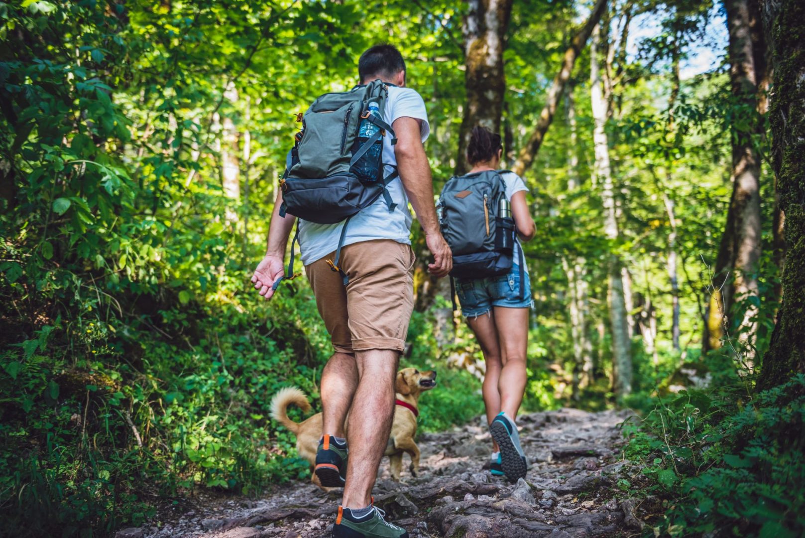 5 Tips for Hiking with your Pet on a Date