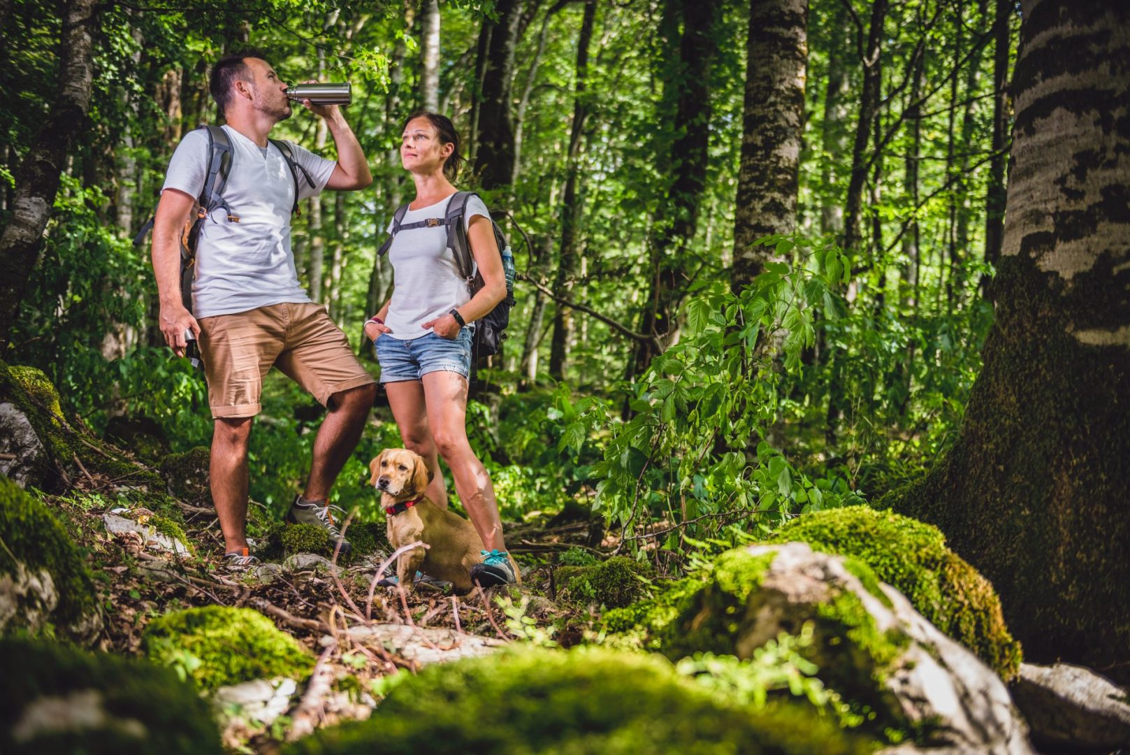 5 Tips for Hiking with your Pet on a Date
