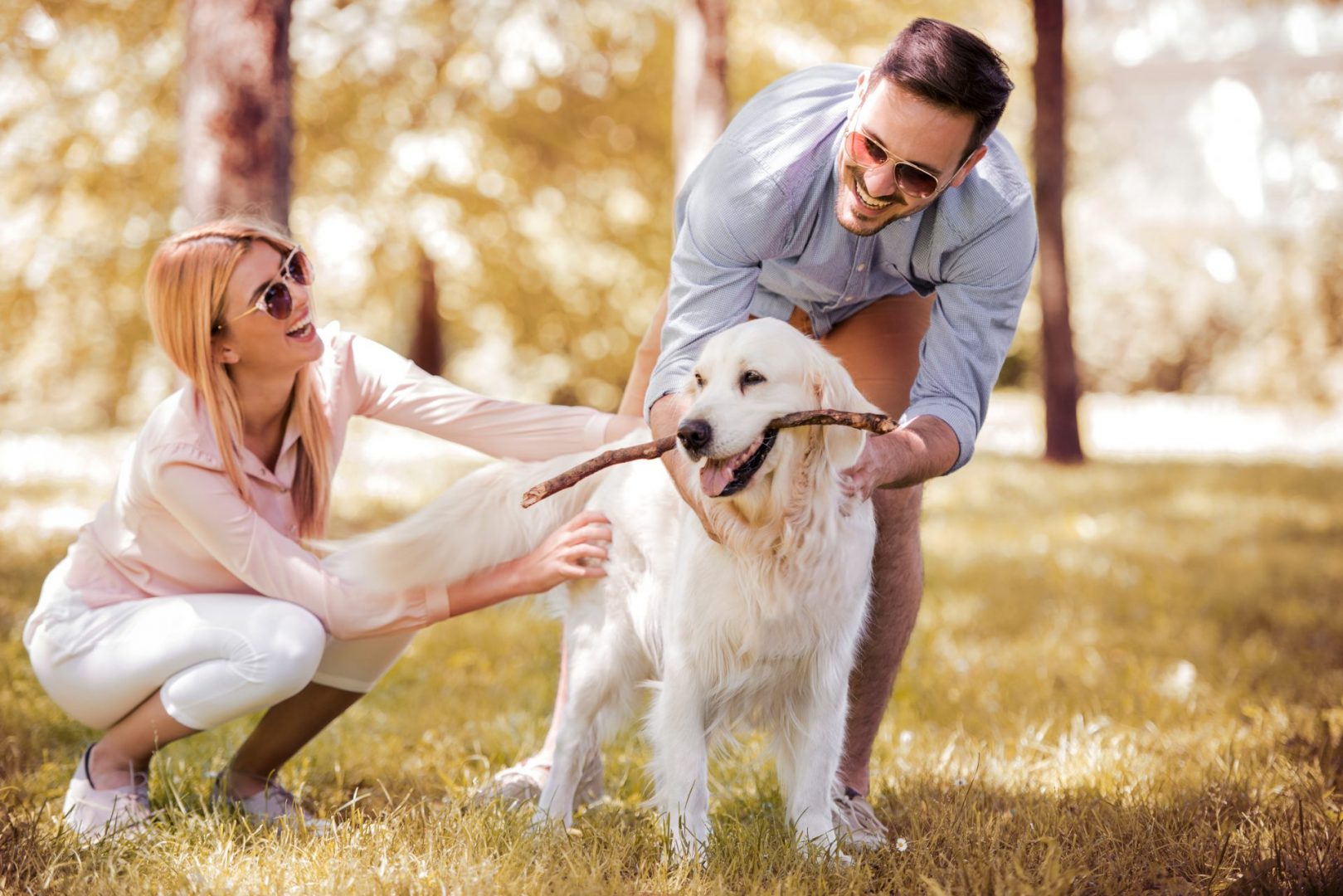 How to Help Your Pet and Date Get Along