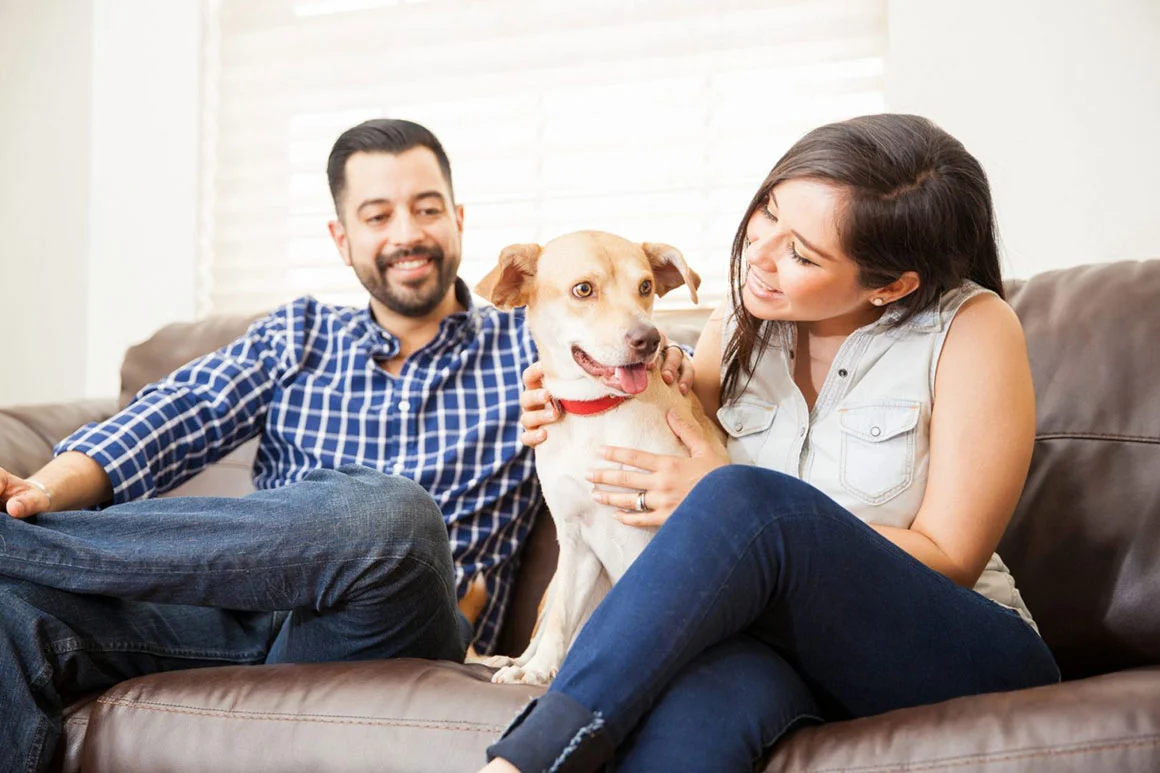 Five Reasons Why Animal Lovers Make Better Partners