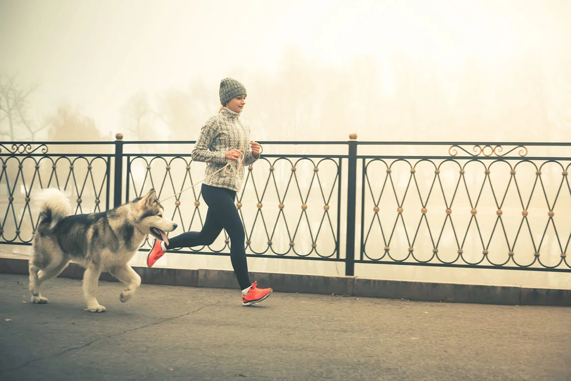 Five Reasons Why Animal Lovers Make Better Partners