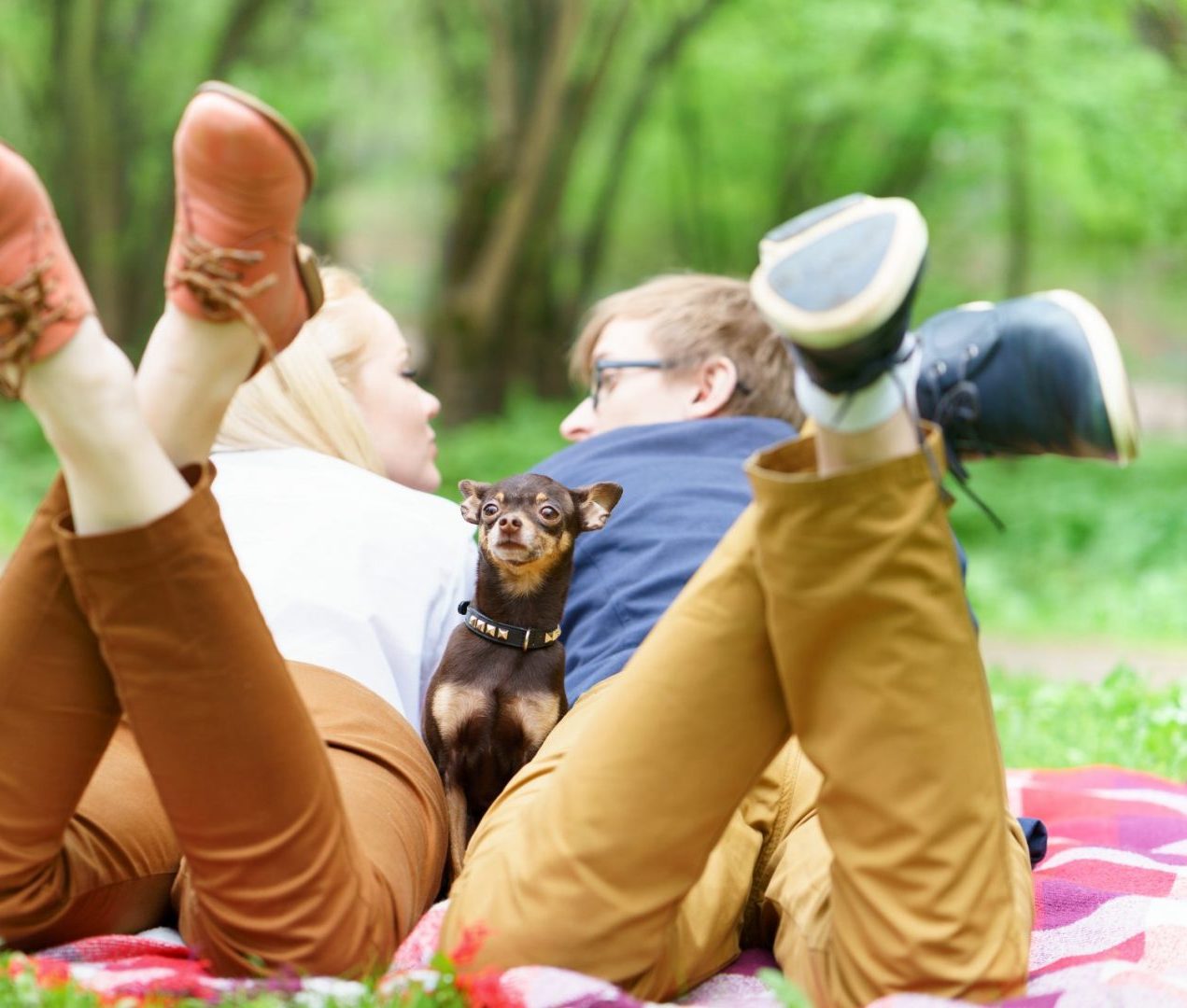 DTR: Where Is Your Relationship Headed?