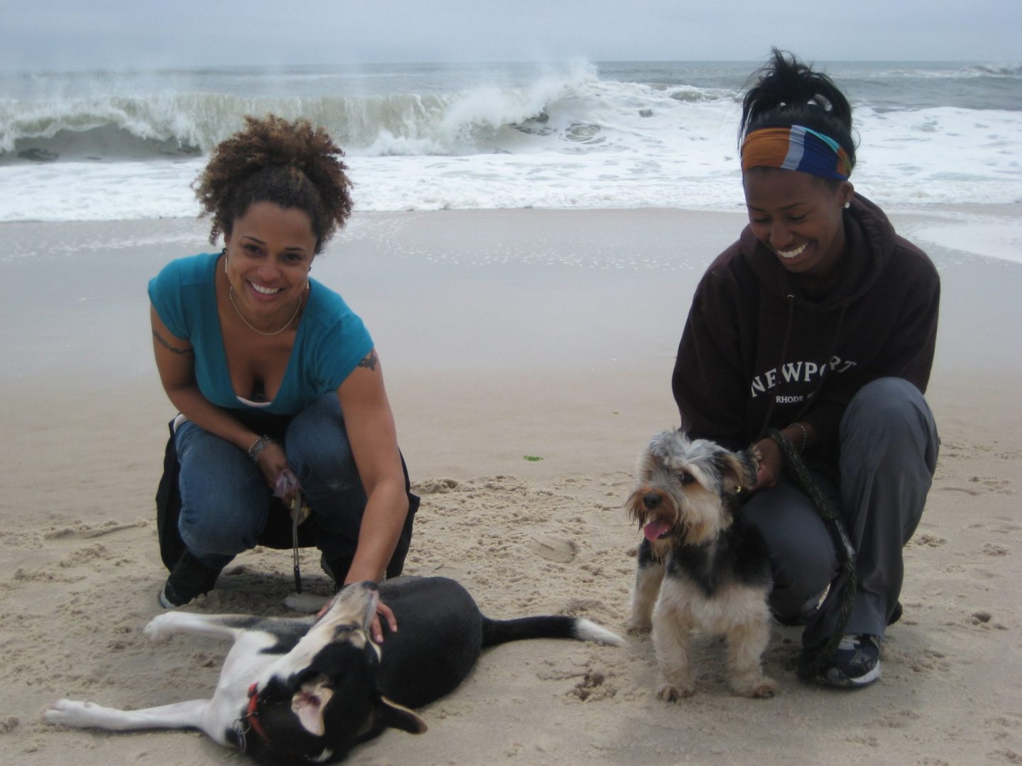 At the pet-friendly beach