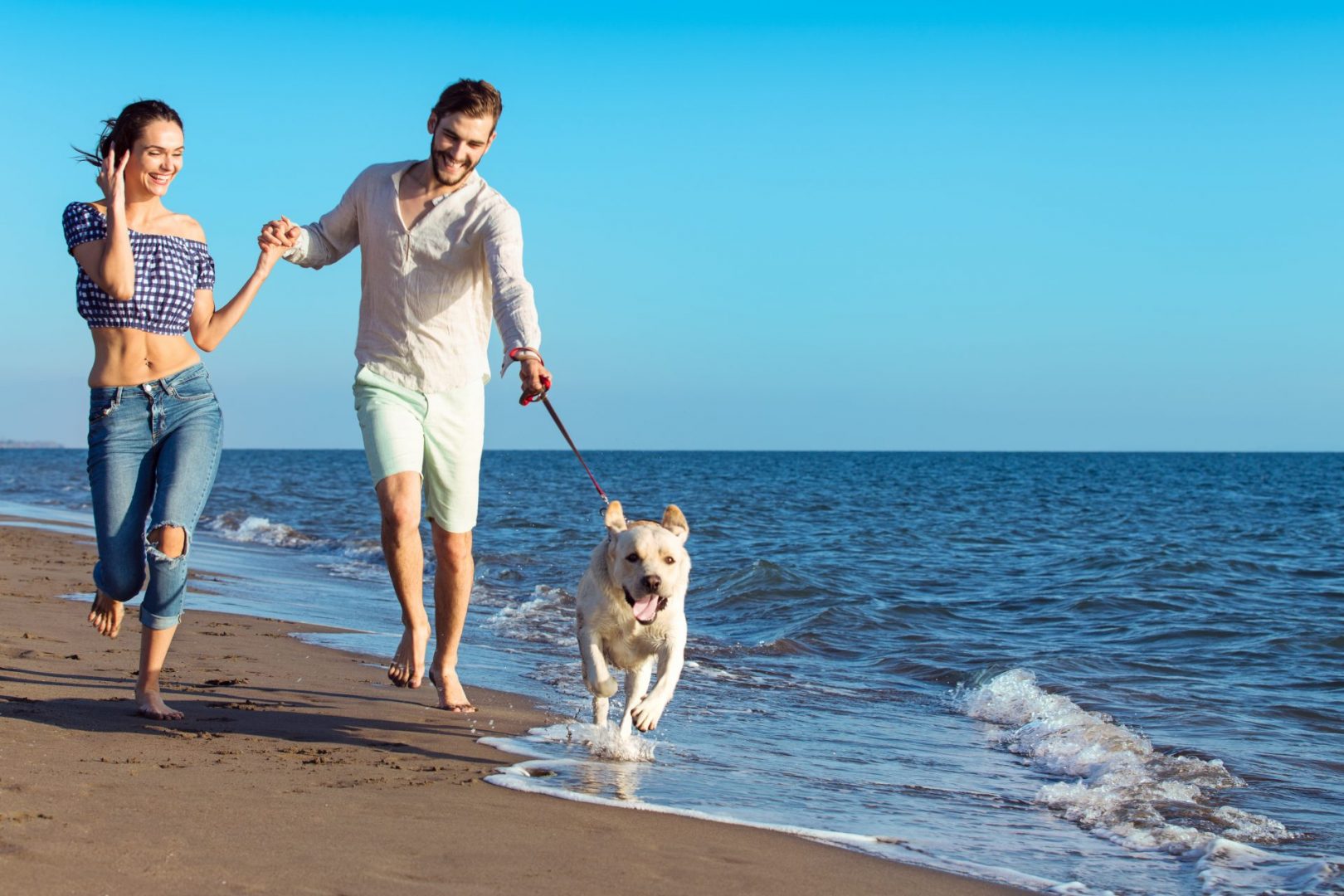 How to Help Your Pet and Date Get Along