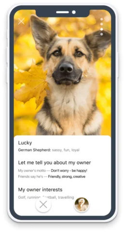 How Pets Get You Through Tough Times