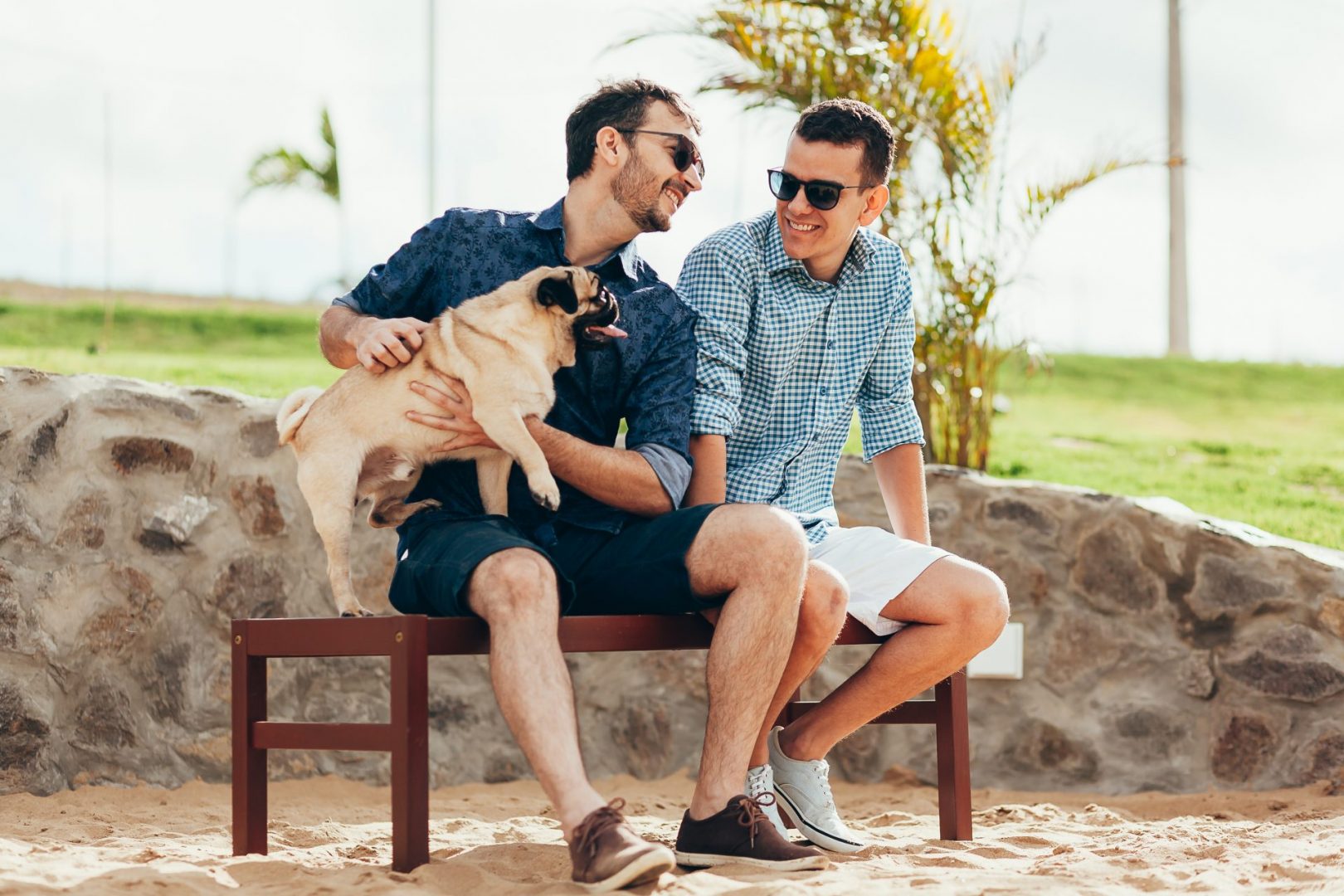 Secret Rules of Dating a Pet Owner