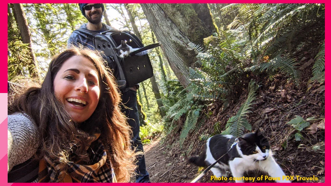 Separation Anxiety from Your Pet After COVID-19