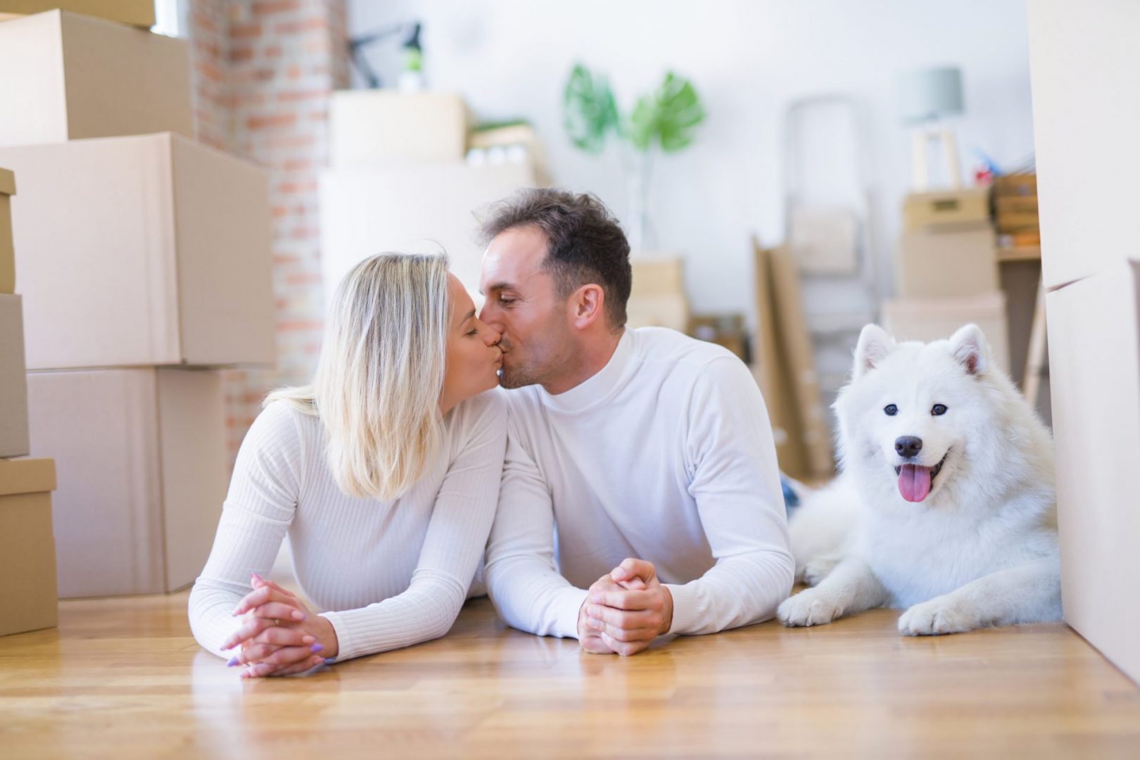 How to Survive Working from Home With Your Pets and Your Partner