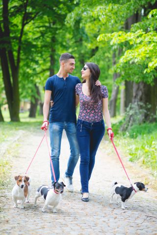 Millennials Seeking Pet Lovers