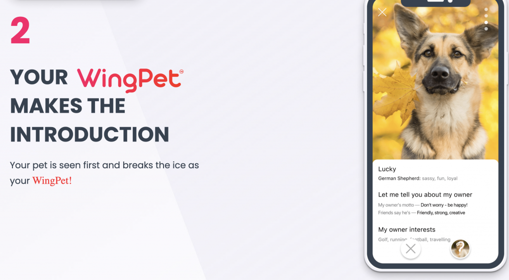 No Pet, No Problem. Feature your real pet or pick a virtual one in the app that still represents your style
