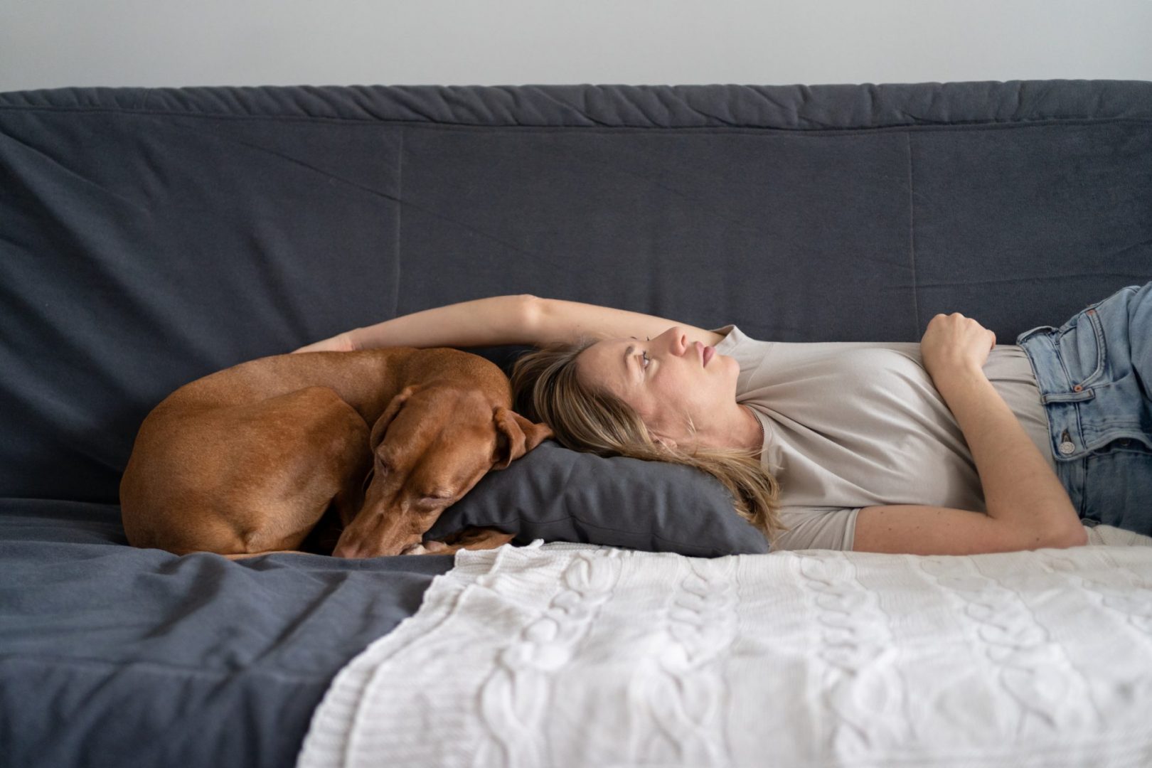 When the relationship splits, but the dog doesn't