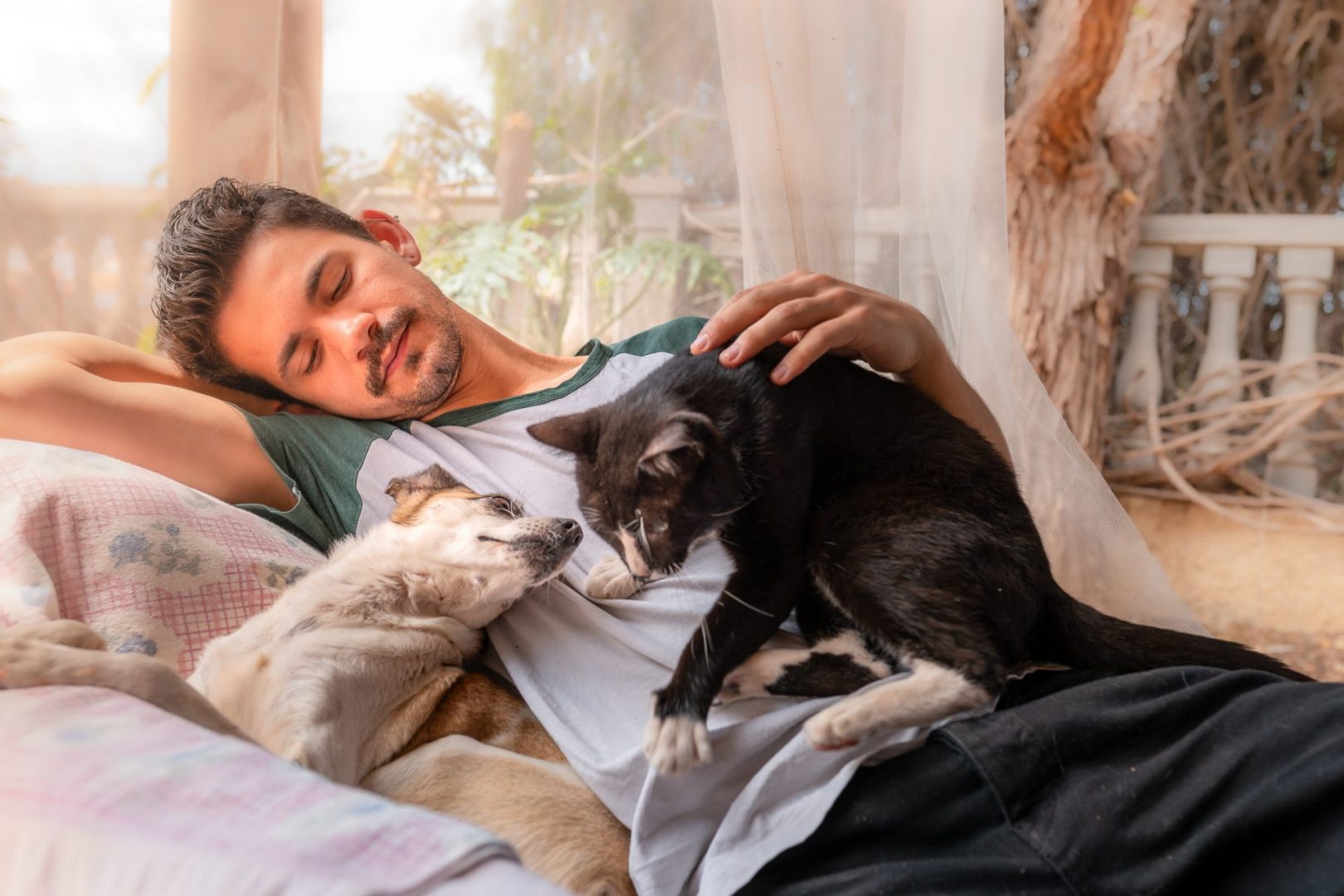 Pets can help take one's mind off a breakup