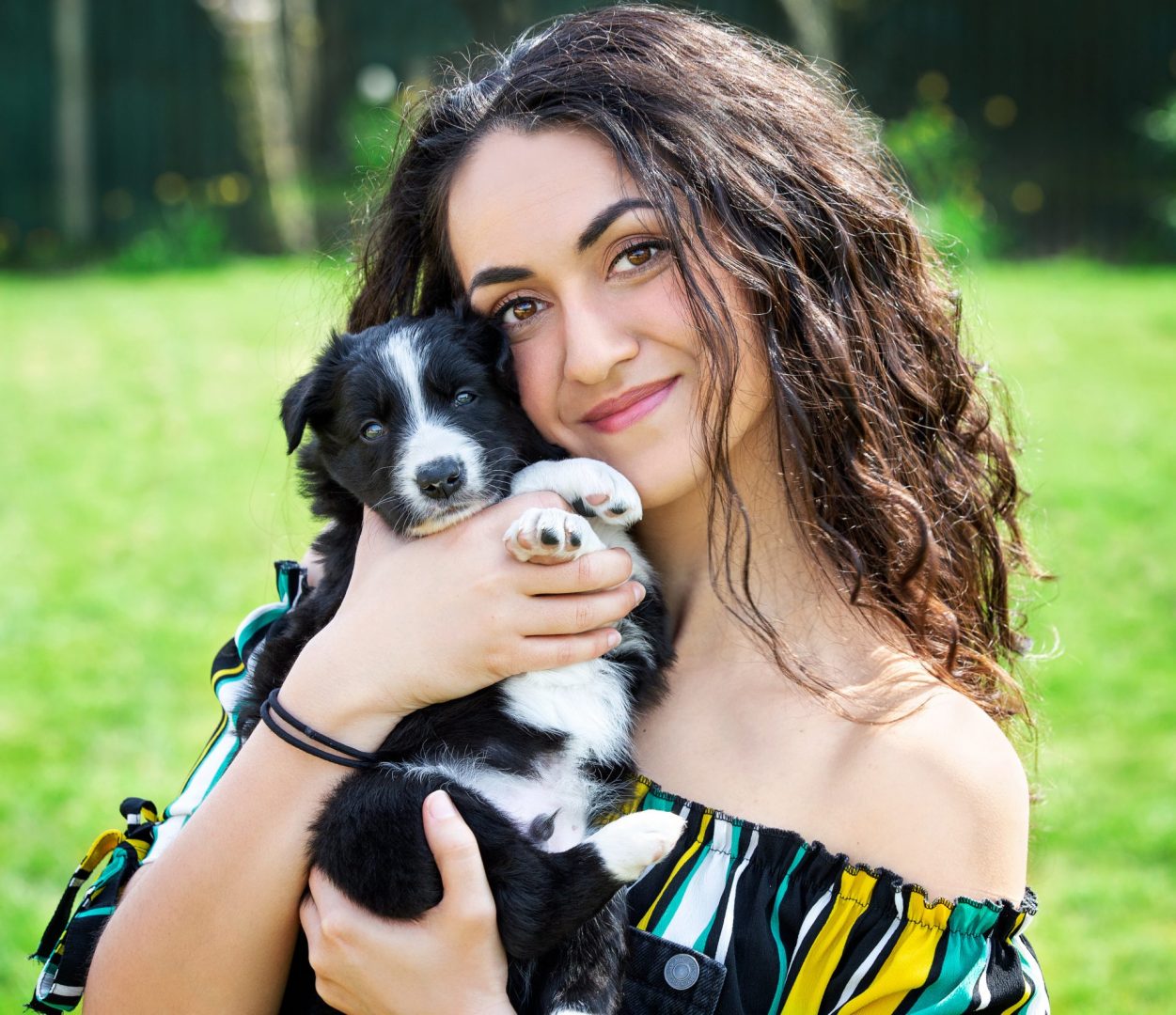 Who gets the dog?