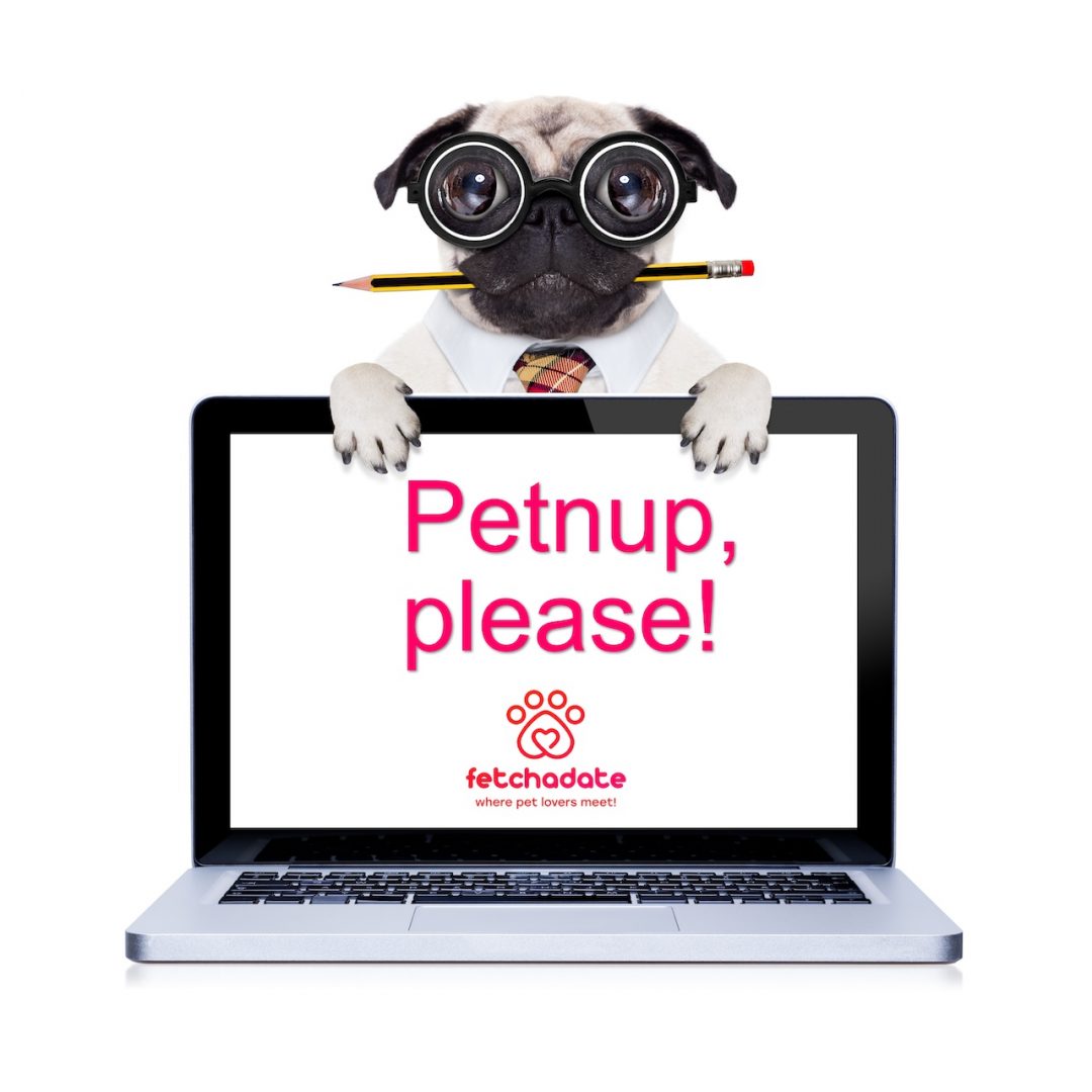 Just in case, it's a good idea to write a petnup