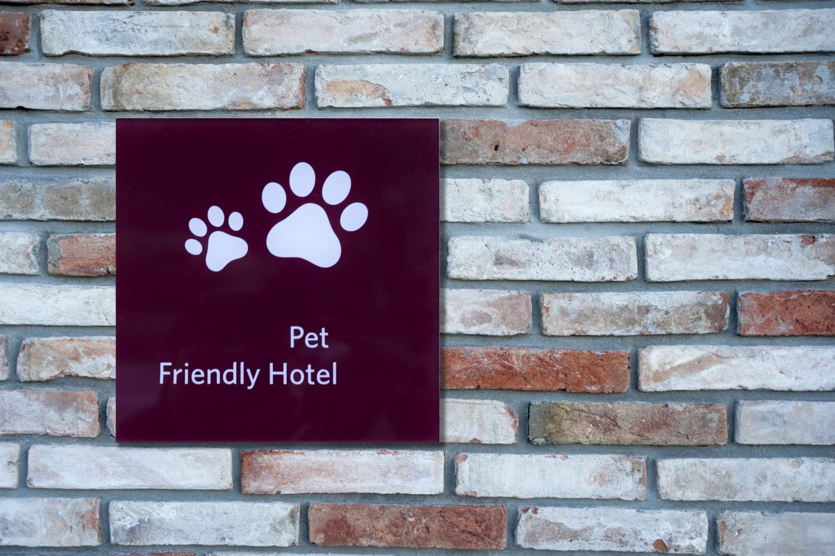 All pets welcome?