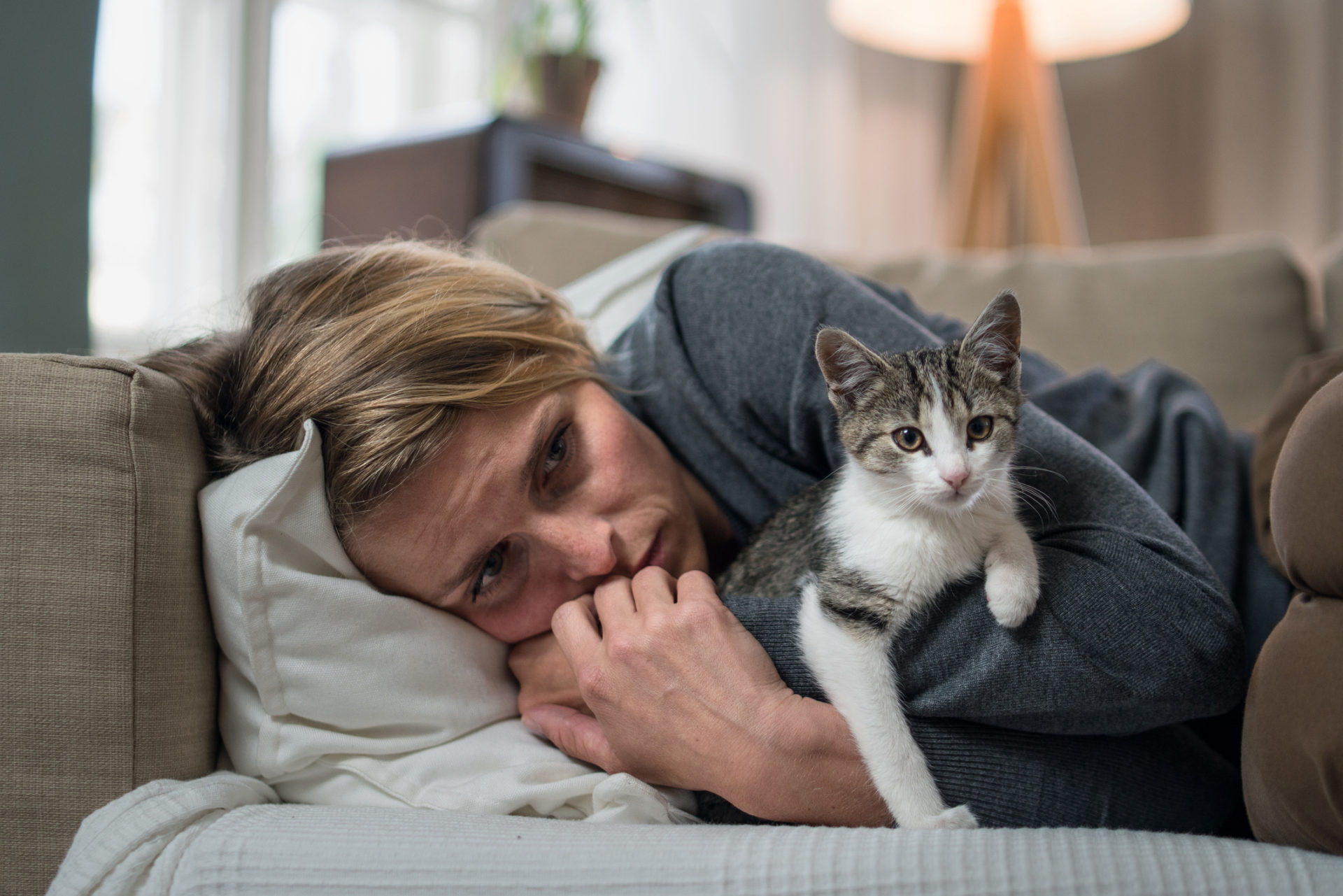 Pet Depression and Seasonal Affective Disorder: How Winter affects our Furry Friends