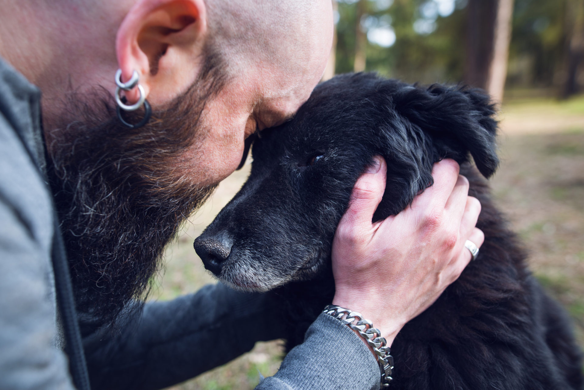 Pet Depression and Seasonal Affective Disorder: How Winter affects our Furry Friends