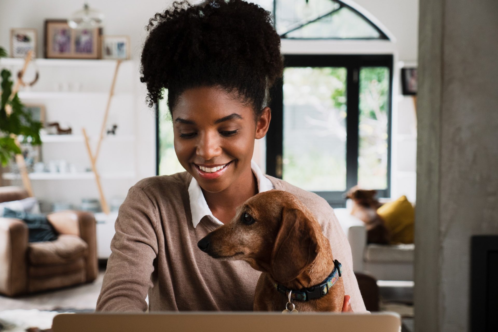 While you are adding your dog pic to your online dating profile, do other users know not liking your dog is a deal-breaker?