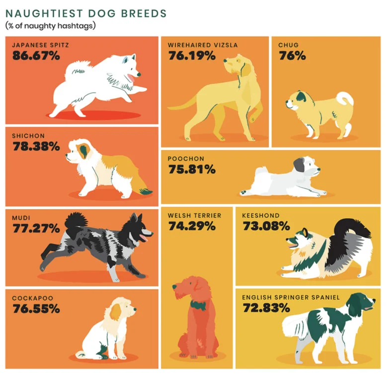 The naughtiest boys and girls