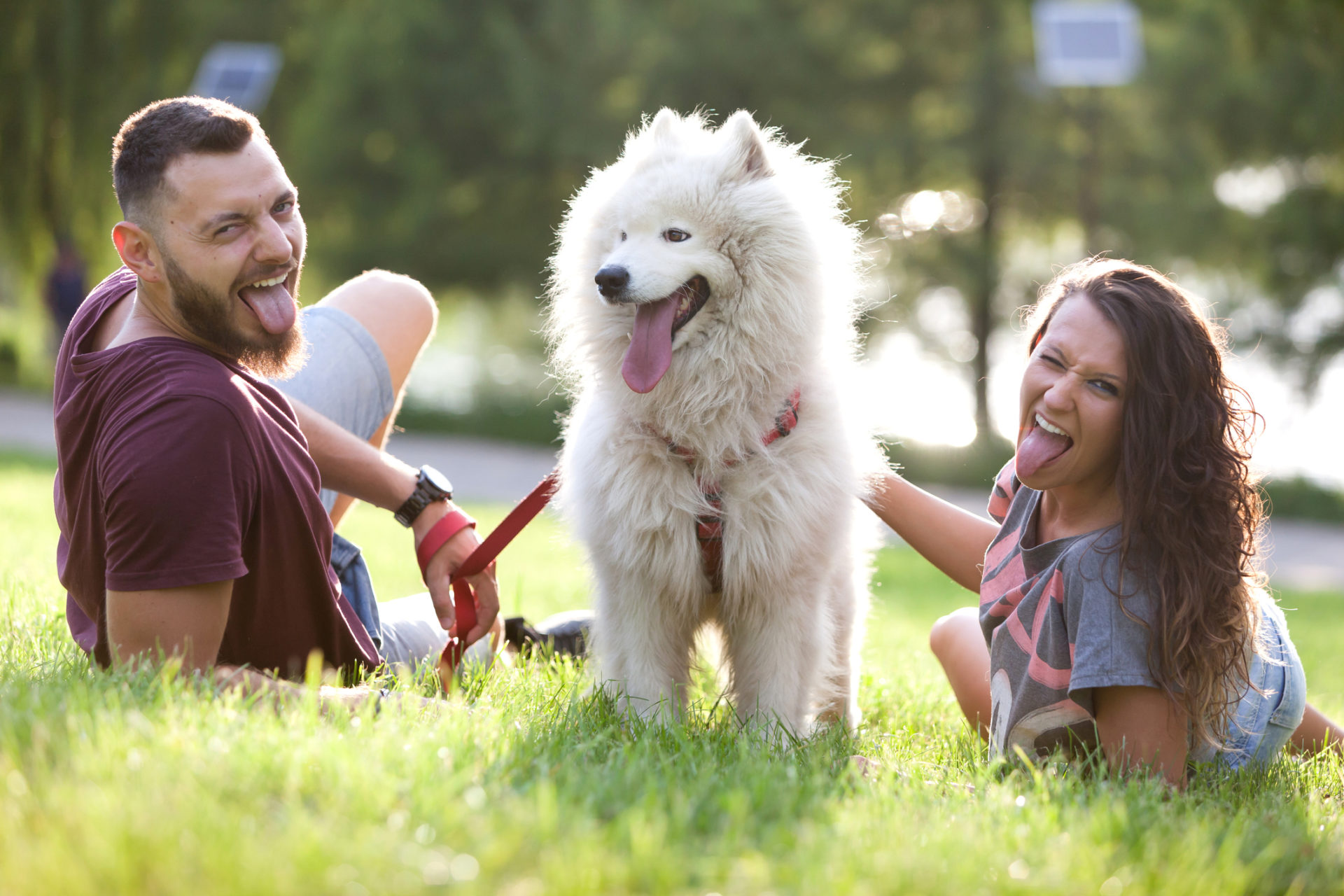 pet lover dating type